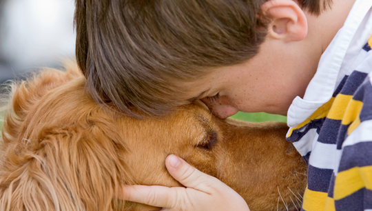 States United for Bio Medical Research